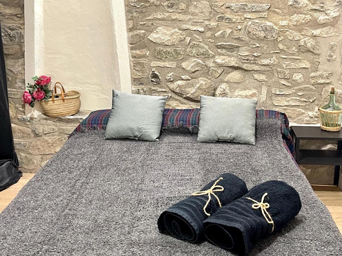 Apartamento Colgante Al Rio Con Vistas Al Puente Camprodon Dış mekan fotoğraf